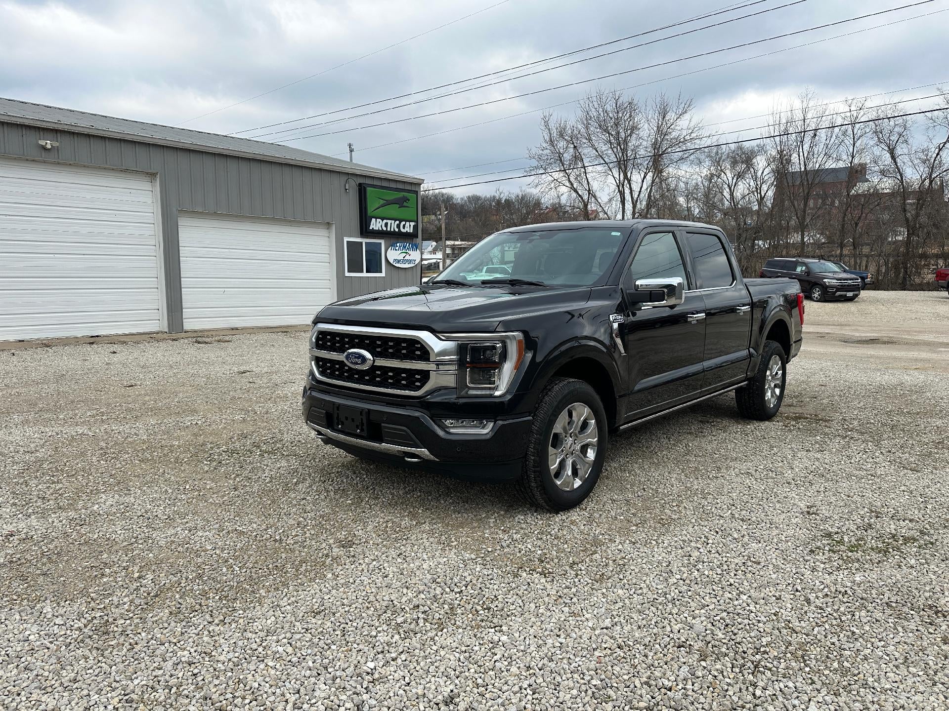 2023 Ford F-150 4WD SuperCrew 5.5' Box